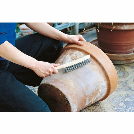 Wolfcraft Stahldraht-Handbürste 4-reihig Coupon ???? Wolfcraft Stahldraht-Handbürste 4-reihig ???? -WOLFCRAFT Shop 43357623 2