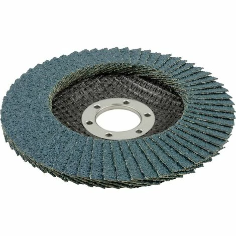 Wolfcraft 5650000 Schleiflamellenteller Billig ???? Wolfcraft 5650000 Schleiflamellenteller ???? -WOLFCRAFT Shop 45903356 2