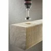 Budget ???? Wolfcraft Forstnerbohrer Ø 26 Mm Sechskant 4006885330900 Sechskant Forstnerbohrer Sechskant Forstnerbohrer ???? -WOLFCRAFT Shop 59905406 1